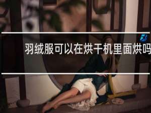 羽绒服可以在烘干机里面烘吗