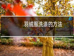 羽绒服洗涤的方法（羽绒服怎样洗涤）