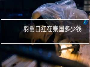 羽翼口红在泰国多少钱
