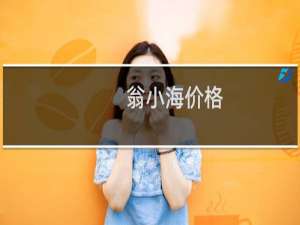 翁小海价格