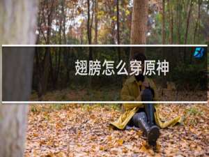 翅膀怎么穿原神