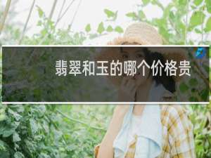 翡翠和玉的哪个价格贵