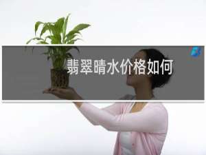 翡翠晴水价格如何