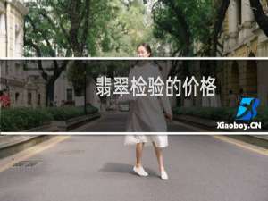 翡翠检验的价格