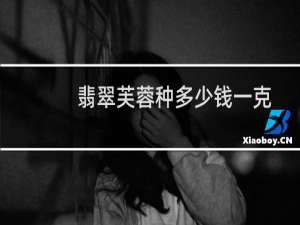 翡翠芙蓉种多少钱一克
