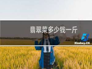 翡翠菜多少钱一斤