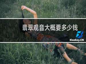 翡翠观音大概要多少钱