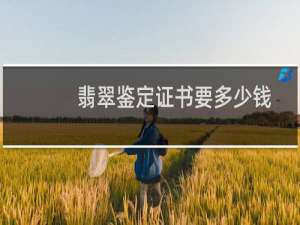 翡翠鉴定证书要多少钱