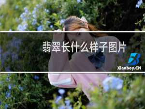 翡翠长什么样子图片