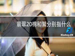 翡翠 棉和絮分别指什么