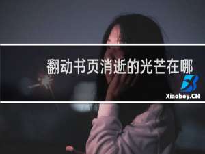 翻动书页消逝的光芒在哪