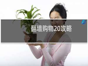 翻墙购物 攻略
