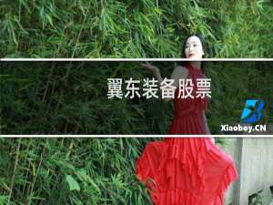 翼东装备股票