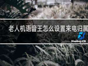 老人机语音王怎么设置来电归属地