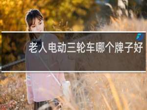老人电动三轮车哪个牌子好
