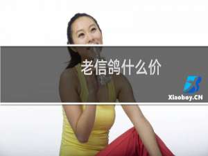 老信鸽什么价