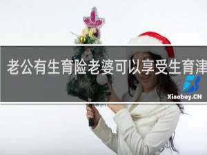 老公有生育险老婆可以享受生育津贴吗