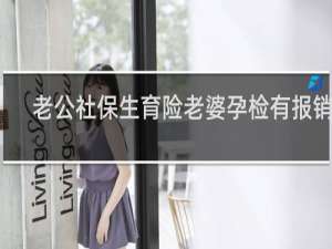 老公社保生育险老婆孕检有报销吗