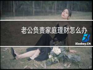 老公负责家庭理财怎么办