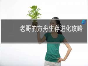 老哥的方舟生存进化攻略