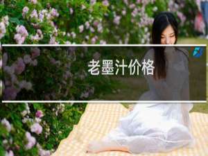 老墨汁价格