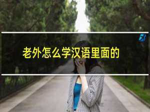 老外怎么学汉语里面的声调（老外怎么学汉语）