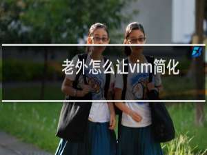 老外怎么让vim简化