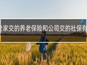 老家交的养老保险和公司交的社保有冲突吗