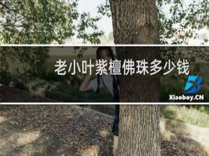 老小叶紫檀佛珠多少钱