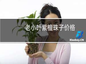 老小叶紫檀珠子价格