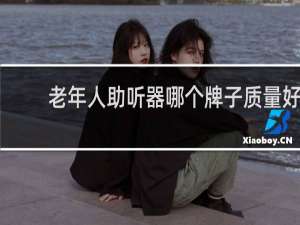 老年人助听器哪个牌子质量好