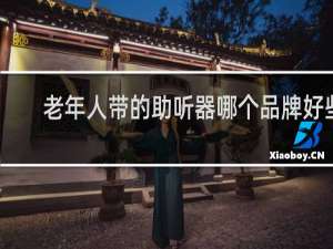 老年人带的助听器哪个品牌好些