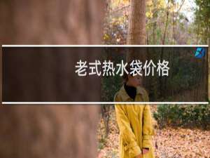 老式热水袋价格
