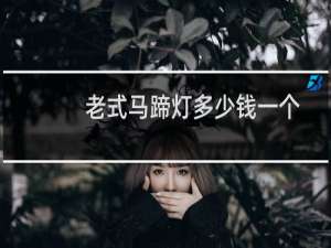 老式马蹄灯多少钱一个