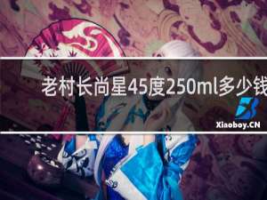 老村长尚星45度250ml多少钱