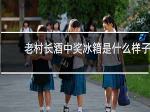老村长酒中奖冰箱是什么样子
