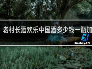 老村长酒欢乐中国酒多少钱一瓶加十元