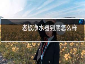 老板净水器到底怎么样