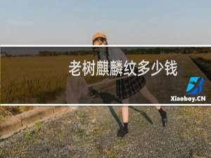 老树麒麟纹多少钱