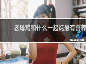 老母鸡和什么一起炖最有营养