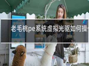 老毛桃pe系统虚拟光驱如何操作