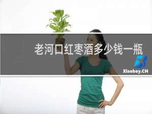 老河口红枣酒多少钱一瓶