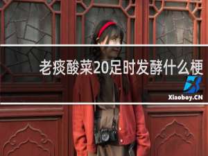 老痰酸菜 足时发酵什么梗