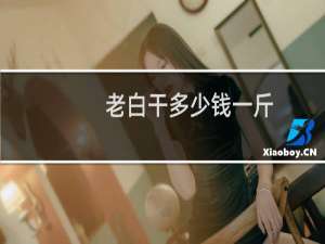 老白干多少钱一斤