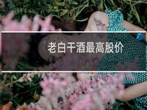 老白干酒最高股价