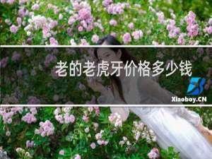 老的老虎牙价格多少钱