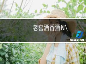 老窖酒香酒N\\/9多少钱