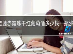老藤赤霞珠干红葡萄酒多少钱一瓶沙地酒庄