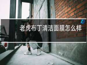 老虎布丁清洁面膜怎么样