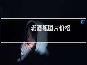 老酒瓶图片价格